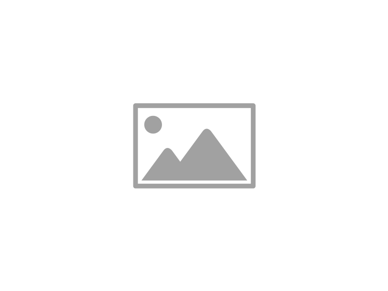 Ansprechpartner